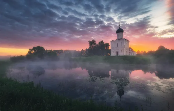 Картинка лето, трава, деревья, пейзаж, природа, туман, отражение, река