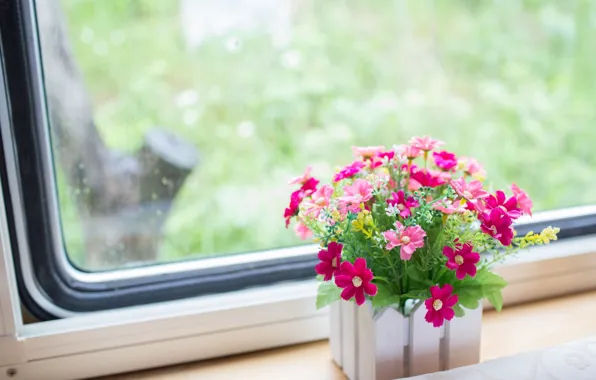 Картинка цветы, окно, подоконник, розовые, вазон
