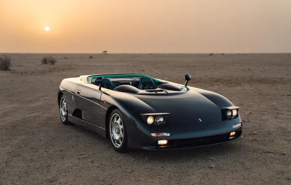 Суперкар, supercar, 1995, De Tomaso, единственный экземпляр, the only instance, De Tomaso Guara Barchetta, De …