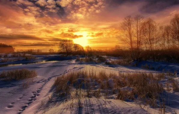 Зима, солнце, снег, деревья, Aleksei Malygin