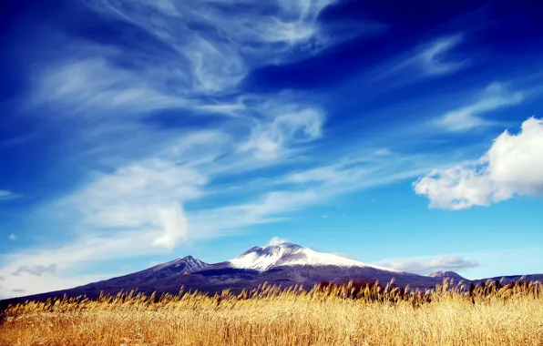 Картинка поле, небо, трава, облака, снег, гора, пик, сухая