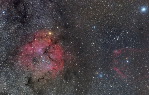 Туманность, эмиссионная, IC 1396, в Цефее