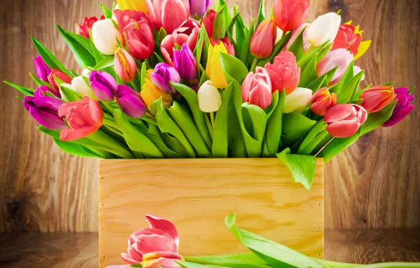 Картинка цветы, коробка, радужные цвета, букет тюльпанов
