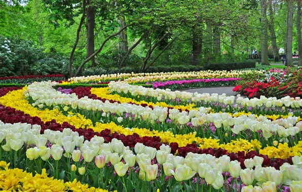 Картинка дизайн, парк, весна, тюльпаны, клумба