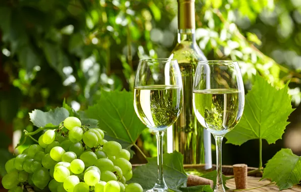 Картинка зелень, листья, вино, бутылка, сад, бокалы, виноград, пробки