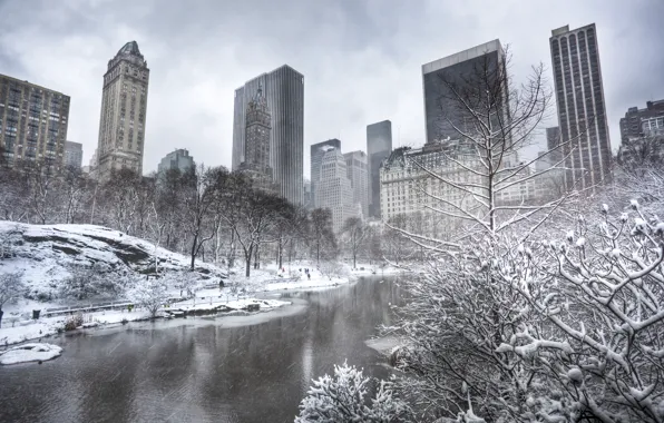 Картинка зима, деревья, здания, Нью-Йорк, Манхэттен, небоскрёбы, водоём, Manhattan