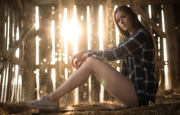 Картинка взгляд, девушка, свет