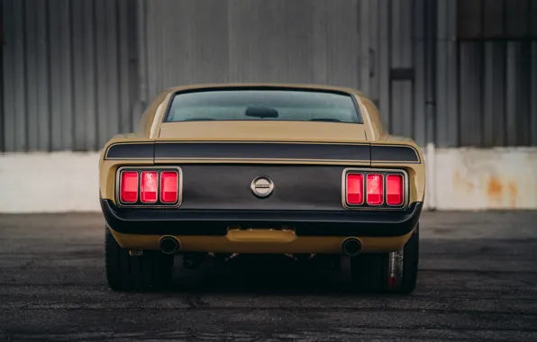 Mustang, Ford, Boss 302, вид сзади, 1970, SpeedKore, RDJ