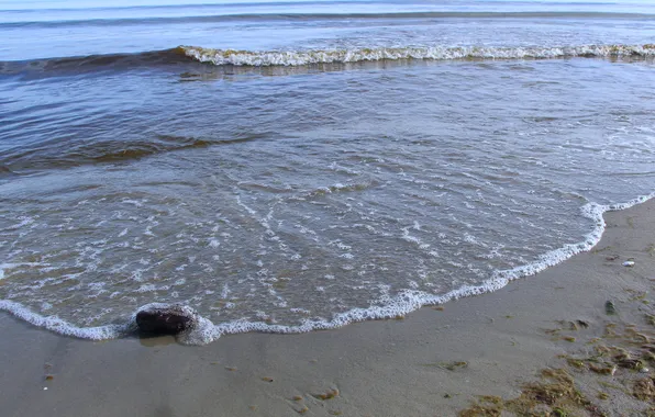 Beach, sea, stone, water, sand