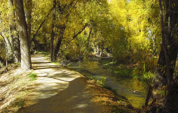 Картинка осень, дорожка, Юта, USA, США, autumn, path, Utah