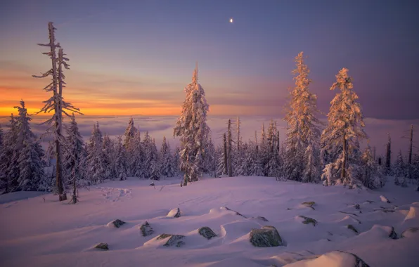 Картинка зима, закат, природа