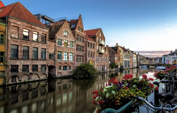 Цветы, отражение, дома, канал, Бельгия, Belgium, Gent