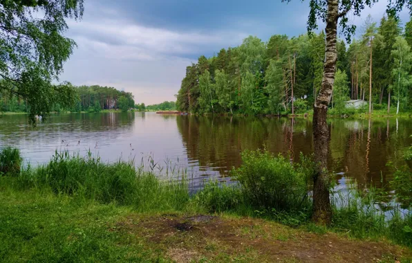 Природа, краcный, летО, луковое озеро