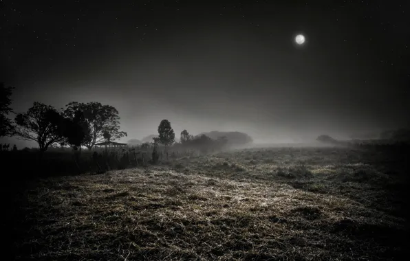 Картинка ночь, туман, луна, звёзды