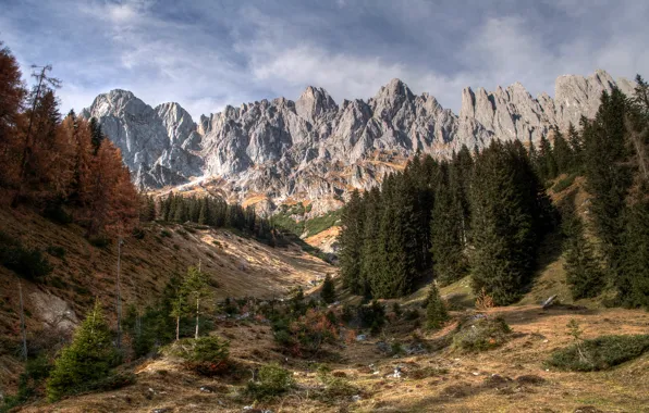 Картинка лес, пейзаж, горы, природа, скала, Альпы, Austrian