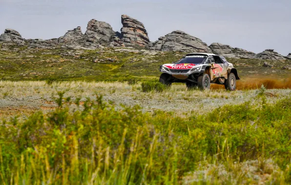 Трава, Скалы, Спорт, Скорость, Гонка, Грязь, Peugeot, Фары