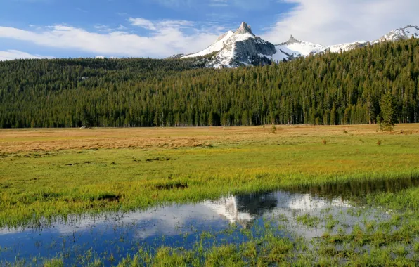 Картинка природа, Калифорния, США, Йосемити, Cathedral Peak