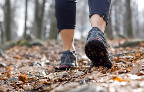 Autumn, training, running shoes, running, outdoor walking