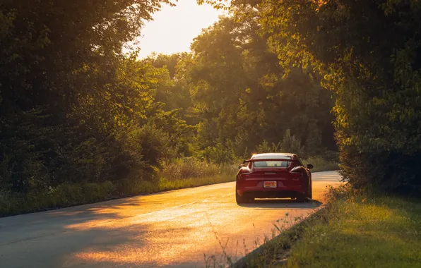Car, Porsche, road, field, sunlight, GT4, headlights, taillights
