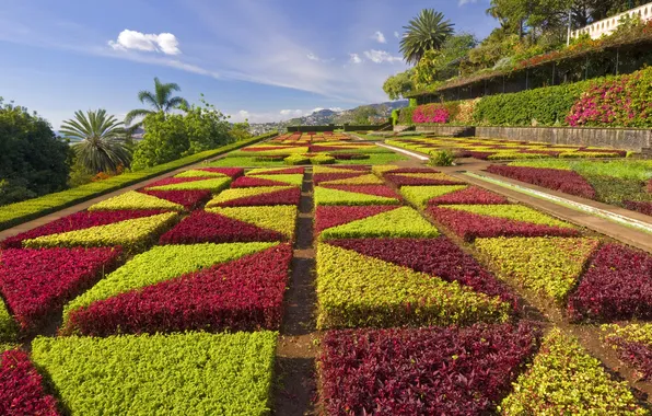 Картинка Portugal, Madeira, Formal gardens