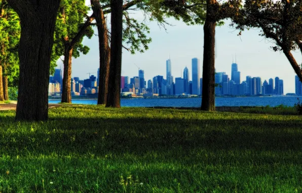 Картинка лето, трава, деревья, парк, USA, чикаго, Chicago, illinois