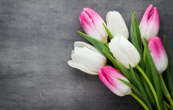 Картинка beautiful, розовые, fresh, белые, pink, white, тюльпаны, tulips, букет, spring, flowers, цветы