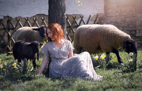 Картинка девушка, овцы, весна