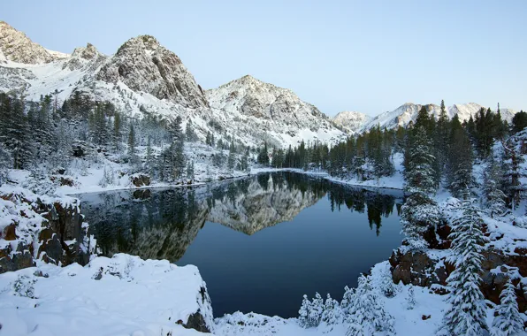Картинка зима, лес, небо, снег, деревья, горы, озеро