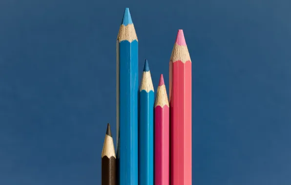 Картинка фон, цвет, карандаши, The happy family