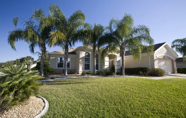 Трава, город, дом, пальмы, фото, газон, Флорида, США