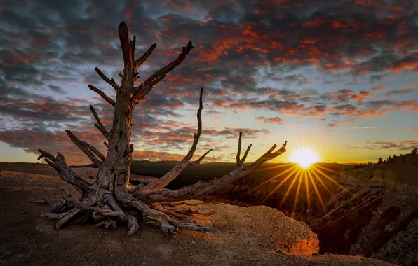 United States, Utah, Bryce Canyon City