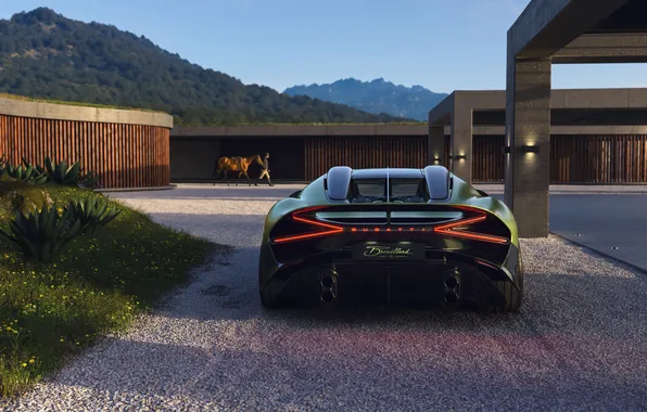 Купе, Bugatti, coupe, гиперкар, единственный экземпляр, hypercar, 2025, single copy