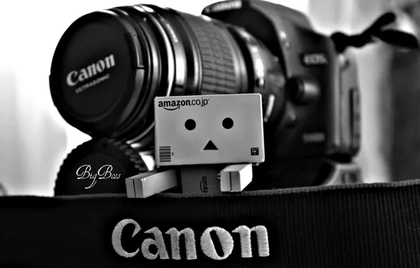 Картинка фотоаппарат, danbo, canon, коробочка
