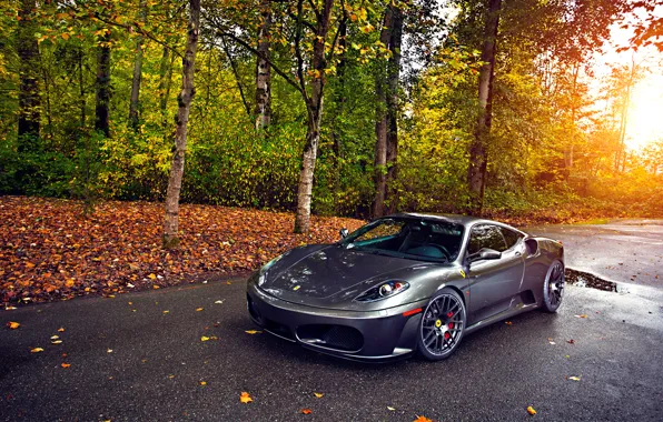 Картинка Ferrari, Green, Sun, Autumn, Tuning, asphalt, Silver, 430
