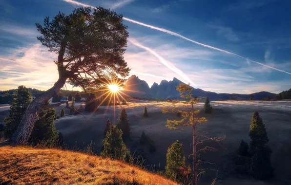 Картинка горы, дерево, утро