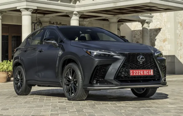 Брусчатка, мощь, колонны, экстерьер, Lexus NX 350 F Sport