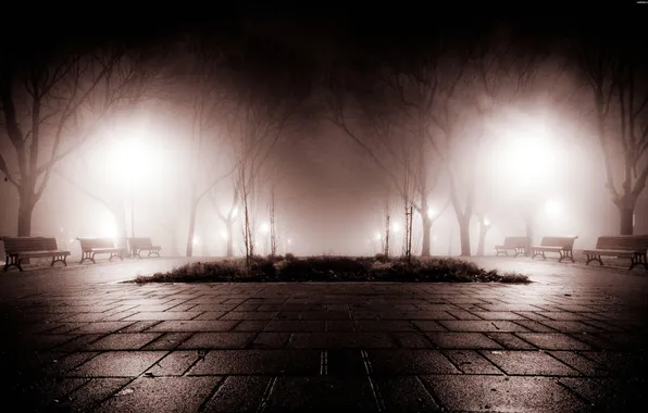 Картинка ночь, туман, парк