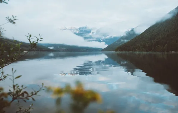 Картинка горы, туман, озеро, утро