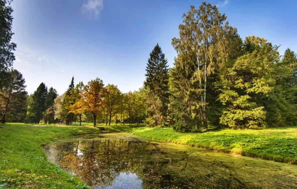 Картинка осень, небо, трава, листья, солнце, деревья, пруд, парк