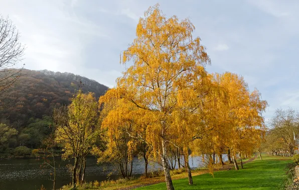 Картинка осень, трава, деревья, скамейка, река, Германия, аллея, набережная