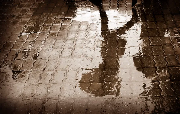 Картинка дорога, асфальт, вода, отражение, дождь, тень