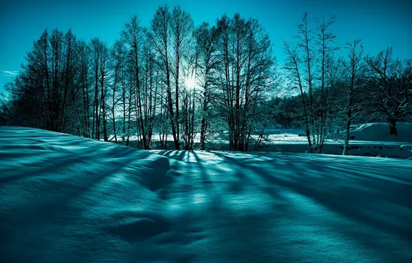 Картинка зима, солнце, лучи, снег, деревья, природа