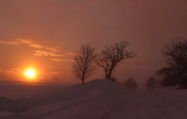 Картинка зима, дорога, солнце, снег, деревья
