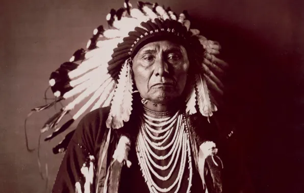 Leader, chief, native american, nez perce, nimiipuu, chief joseph, Hin-mah-too-yah-lat-kekt