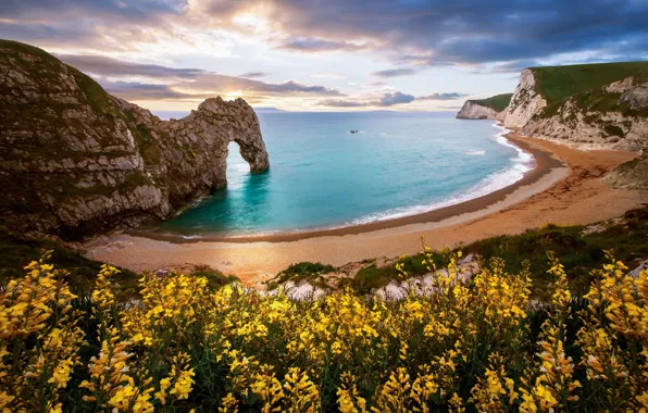 Картинка море, пляж, цветы, природа, скала, арка