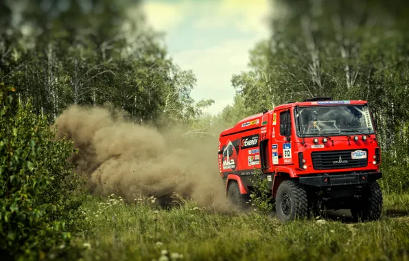 Красный, Пыль, Лес, Спорт, Грузовик, Гонка, Rally, Ралли