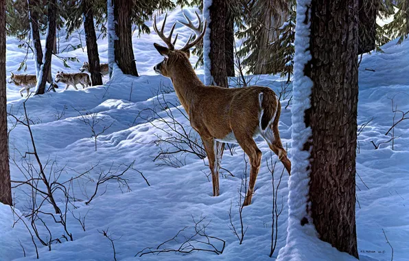 Картинка зима, лес, снег, олень, арт, волки, Ron S. Parker