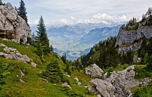 Картинка небо, облака, деревья, горы, камни, скалы, ель