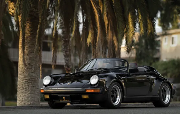 Car, Porsche, supercar, sportcar, black, nature, classic, usa