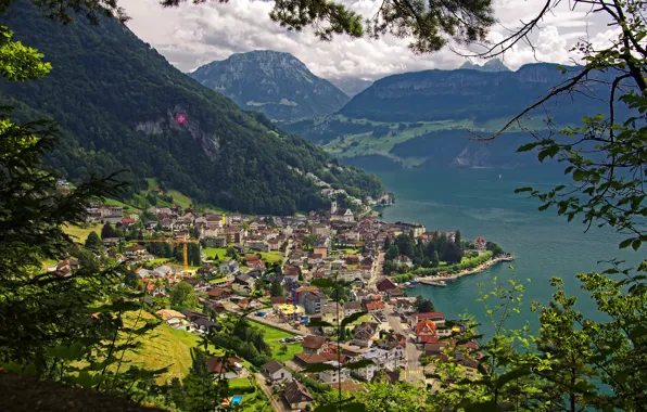 Горы, озеро, поля, Швейцария, панорама, леса, Lake Lucerne, Gersau